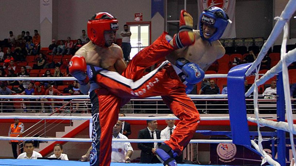 Törek boksçıları 14 medal’ yawladı