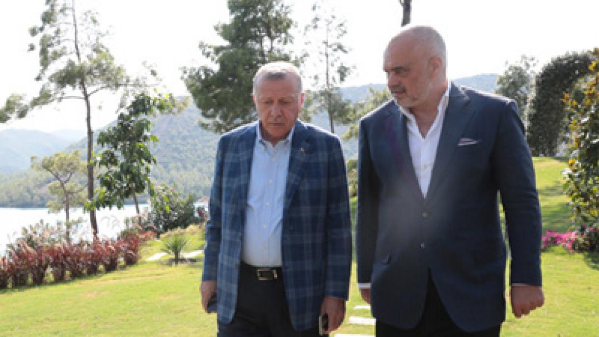 总统埃尔多安会见阿尔巴尼亚总理