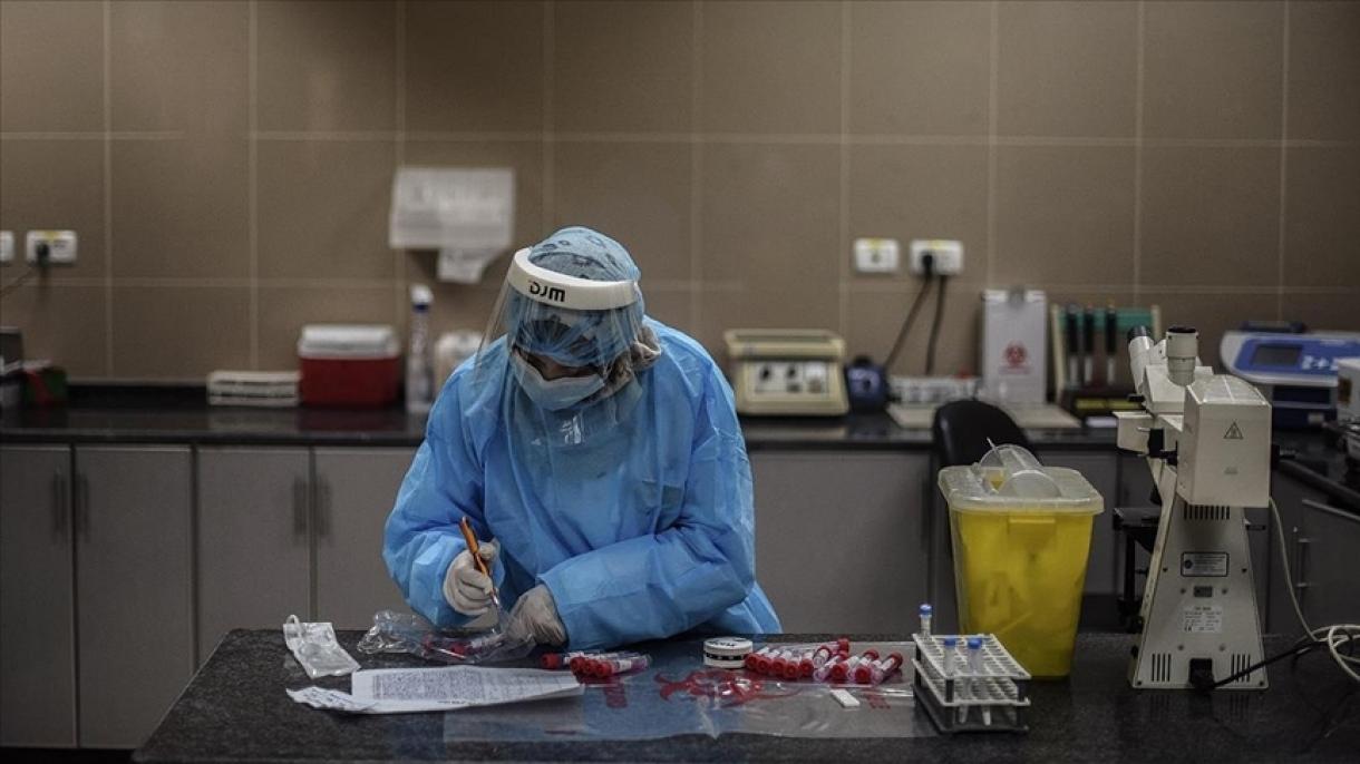 İzraildä yaña mutant-virus çıqtı