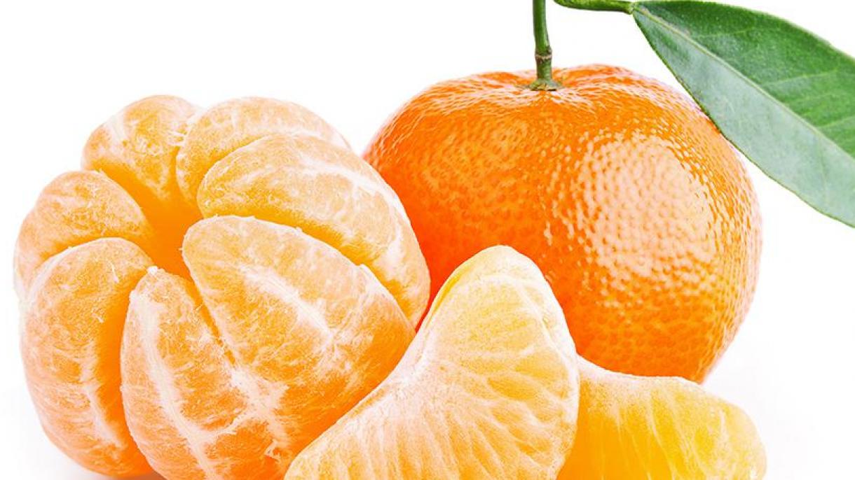 Śitrus cimeşlӓre êksportında mandarin berençe urında