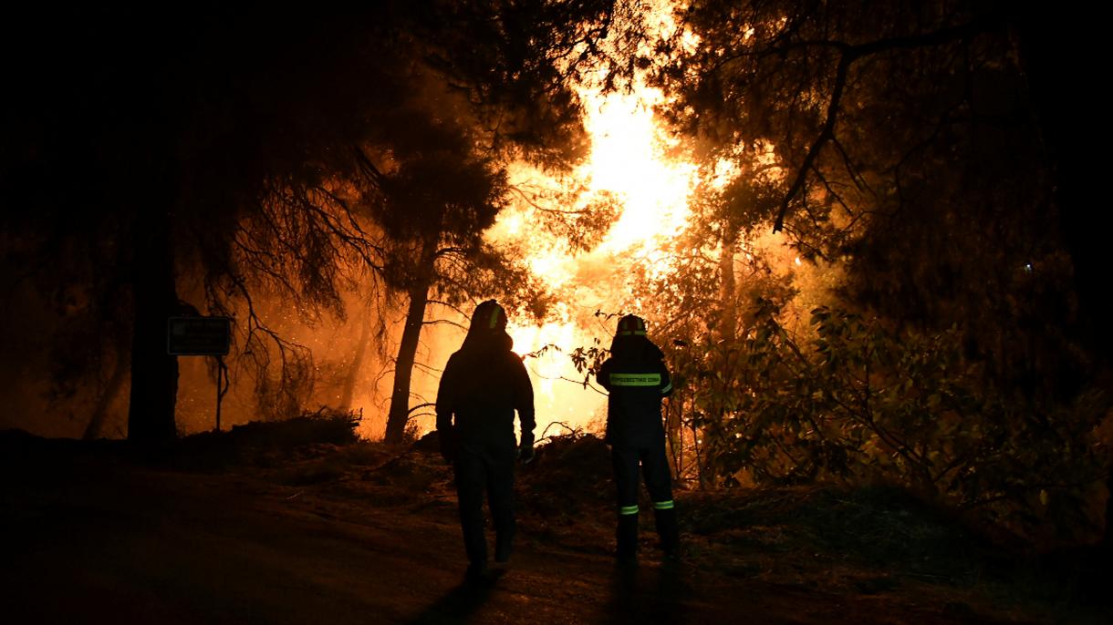 希腊再次陷入森林大火恐慌