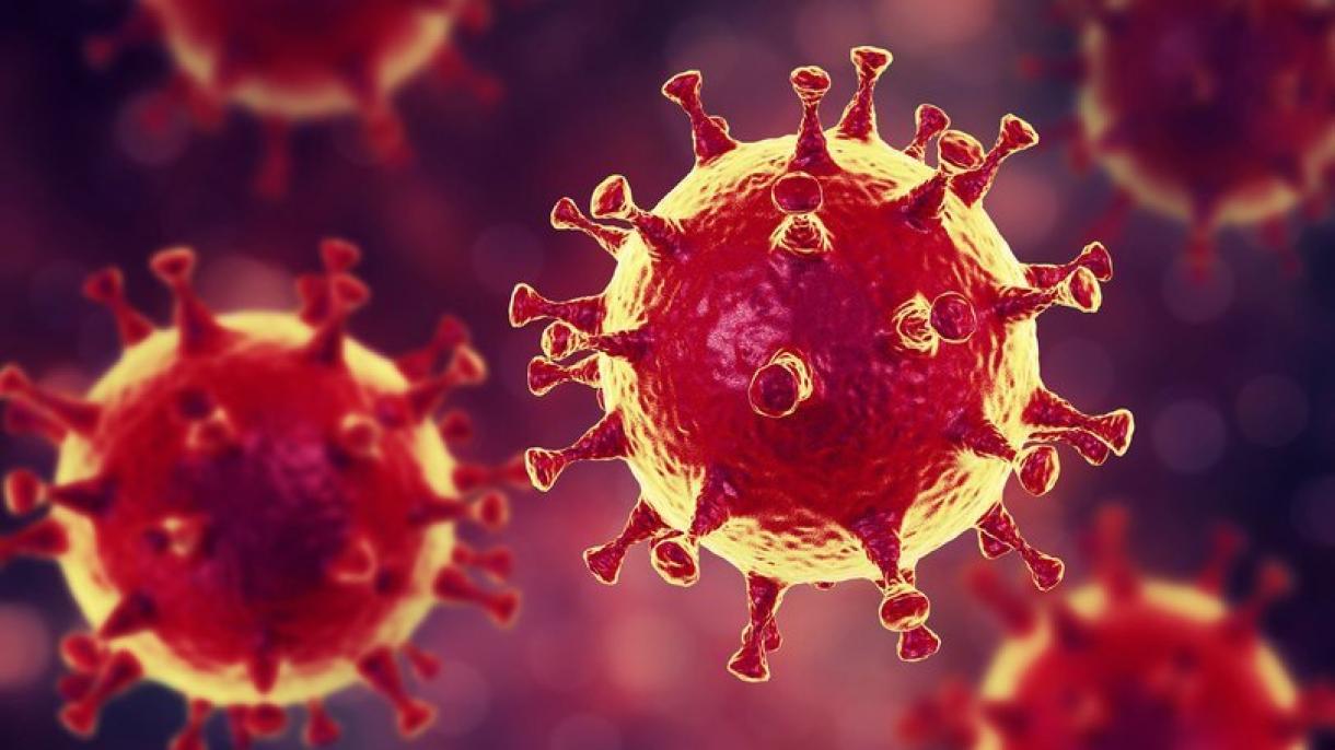 Coronavirus sopravvive sui superfici per 17 giorni