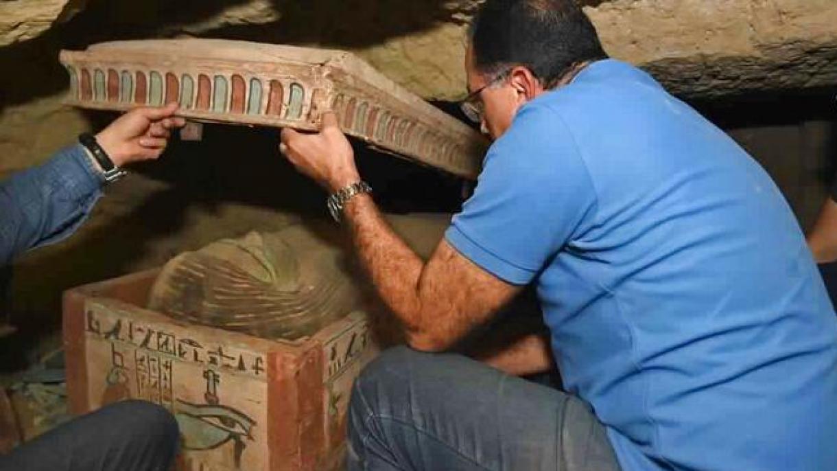 埃及萨拉卡墓地又有新发现