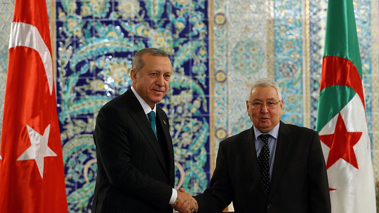 Türkiyə ilə Əlcəzayir bir neçǝ müqavilə imzalayıb