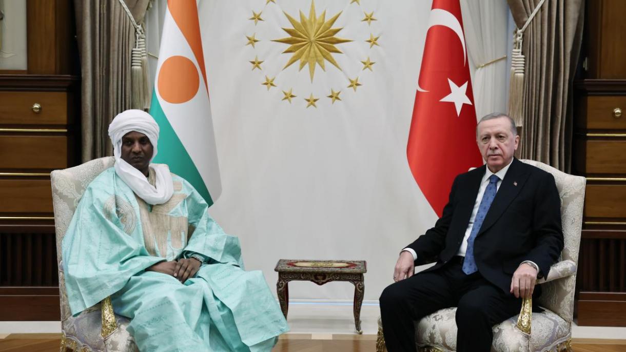 صدر رجب طیب ایردوان  کی نائیجر کے وزیر اعظم ا علی ماہمنے لامین زین  سے ملاقات