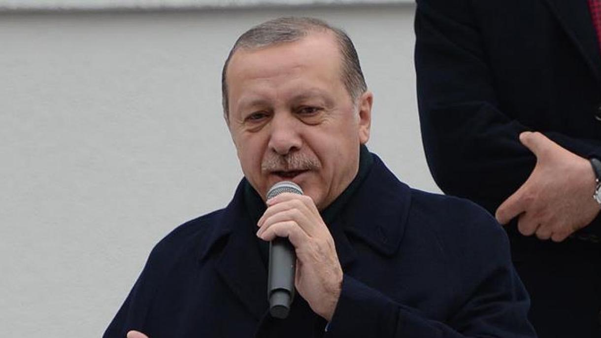 Presidente Erdogan: ''Nadie que tenga la opinión de que podrá dividir la tierra de patria''