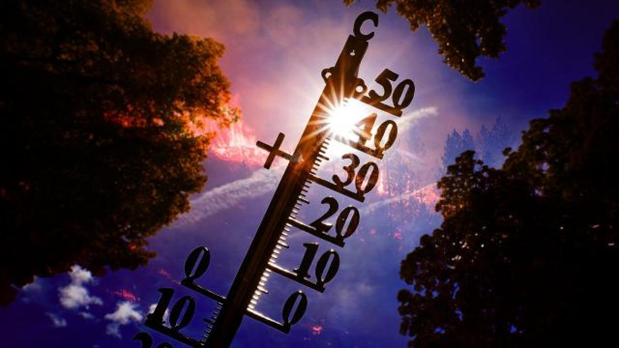Migliaia di persone hanno perso la vita il mese scorso a causa delle temperature alte
