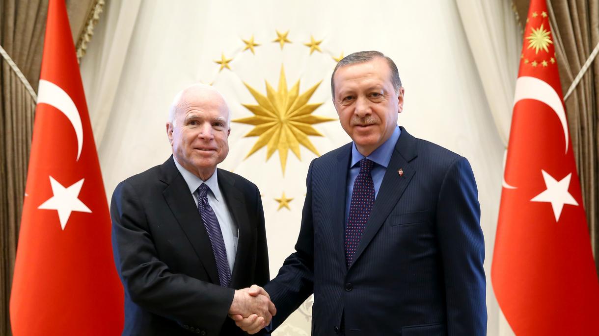 Сенатор Маккейн президент Эрдоган менен жолукту