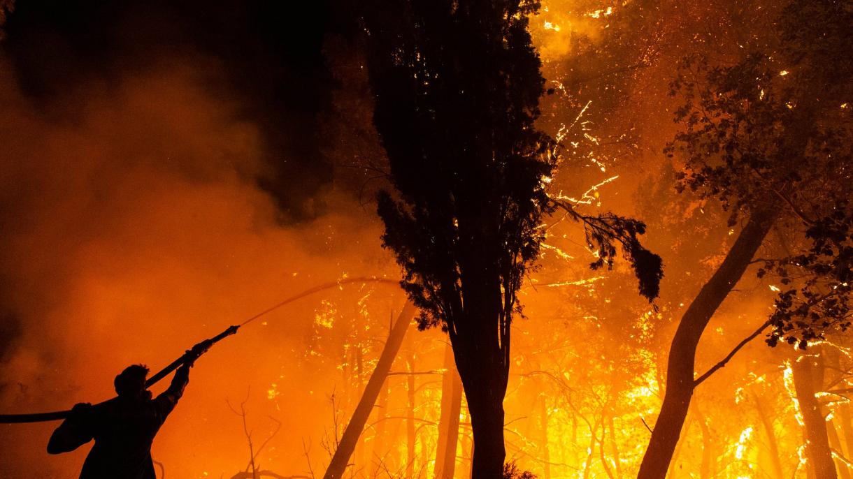 Пожарите застрашават гората от Секвоя в Калифорния...