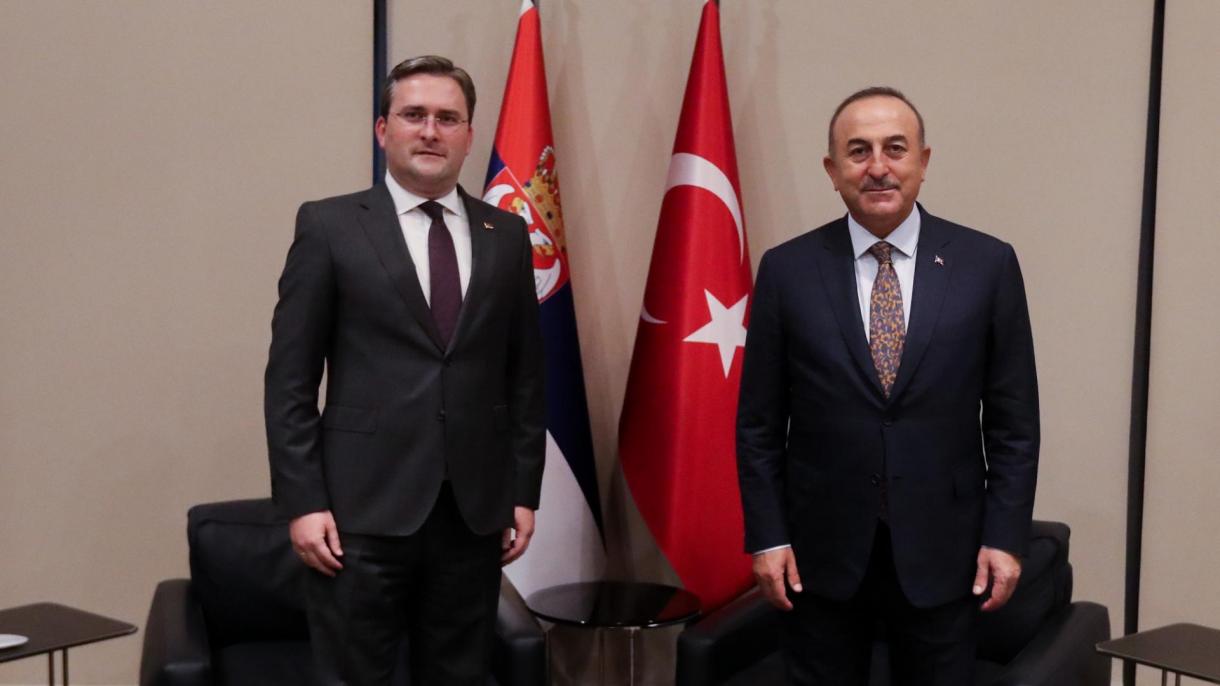 cavusoglu selakovic.jpg