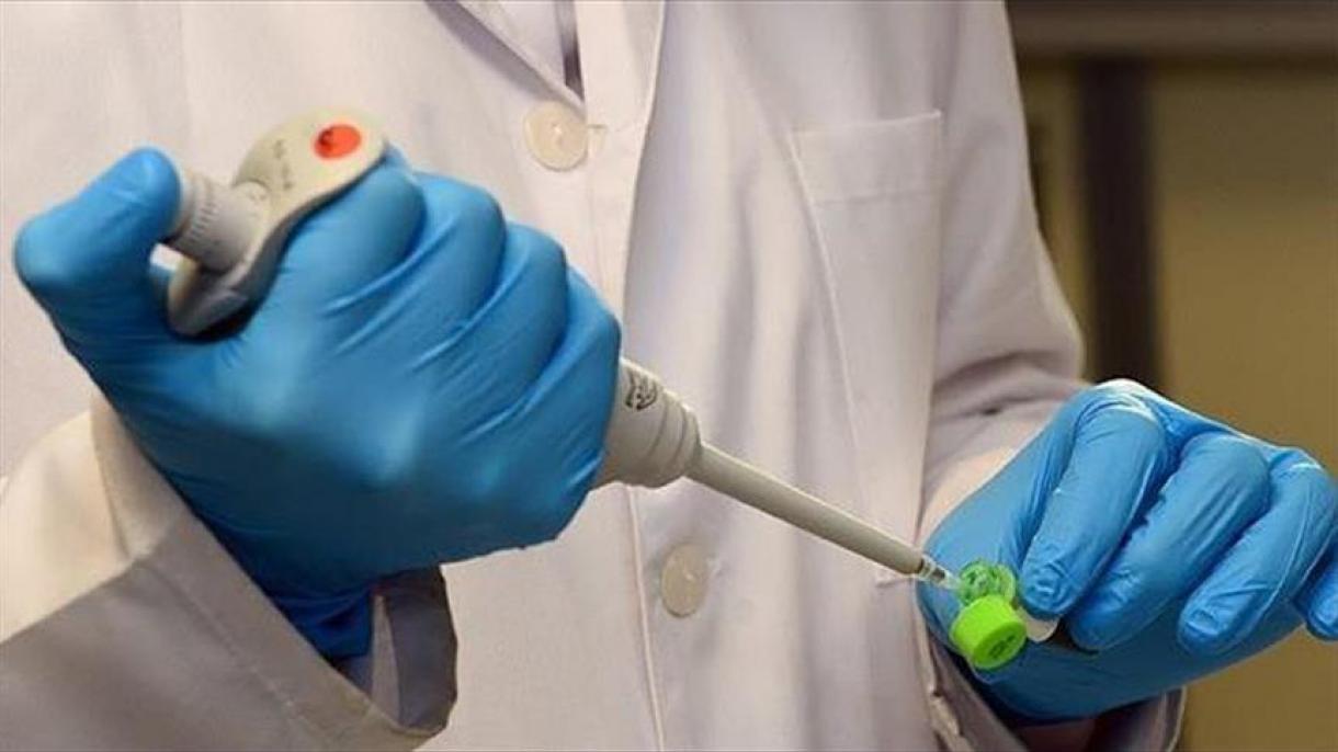 Tunisie: 130 cas suspects d'infection au virus du Nil occidental