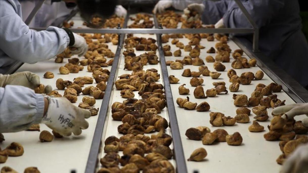 Turquía exportó 137,5 millones de dólares de higos secos en cuatro meses