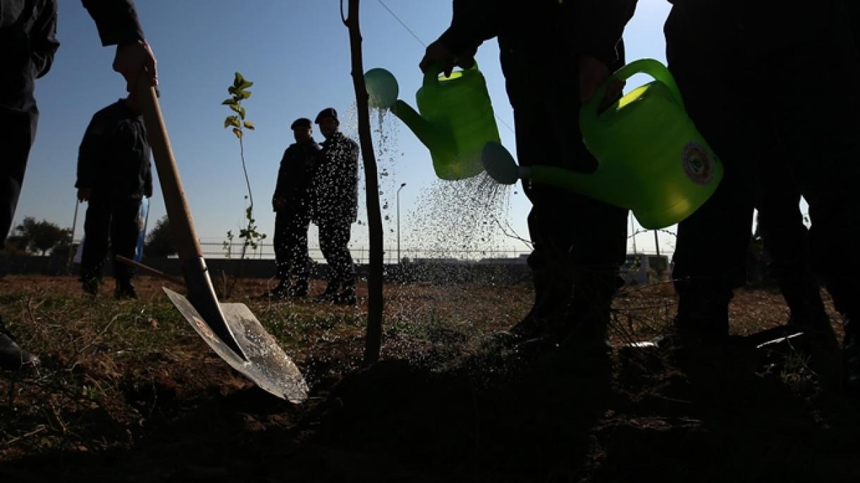نهال‌کاری معاون رئیس جمهور ترکیه در روز ملی درخت‌کاری