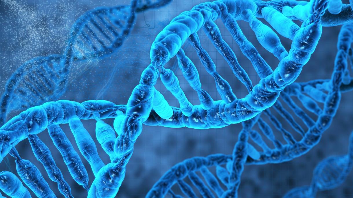 Uma invenção de DNA "sem precedentes" reverte as rugas e a queda de cabelo