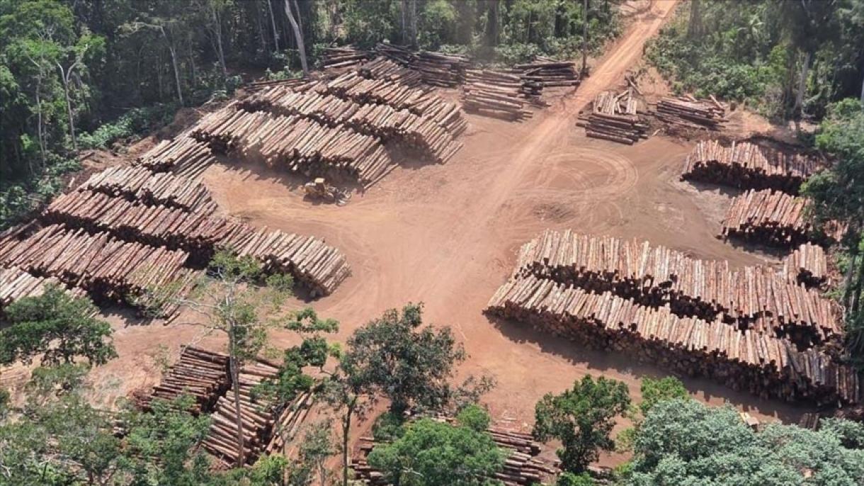Brasil registra récord de deforestación en la Amazonía en septiembre, un mes antes de elecciones