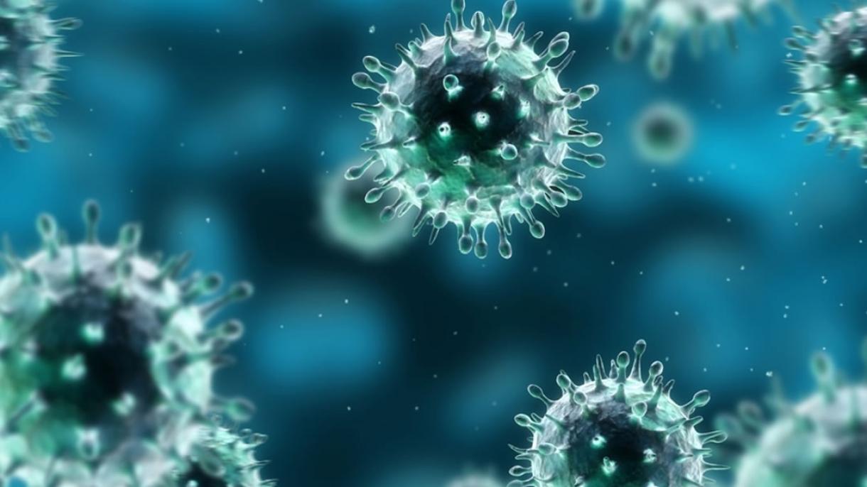 Vírusjárvány az Egyesült Államokban: 6 halott