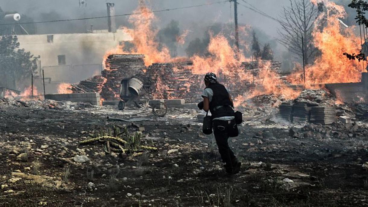 Пожарите в Гърция са причинени от палежи