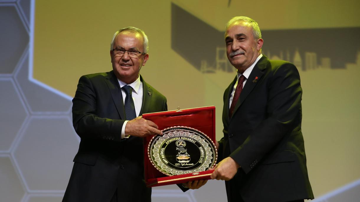 Turquía, segundo país con más producción de miel en el mundo