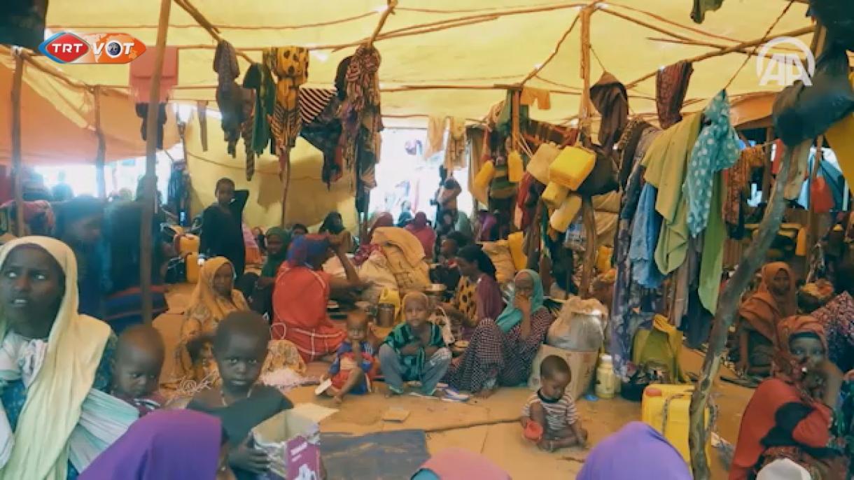 صومالیہ میں  قحط سالی سے ہلاک ہونے والے بچوں کی تعداد میں اضافہ