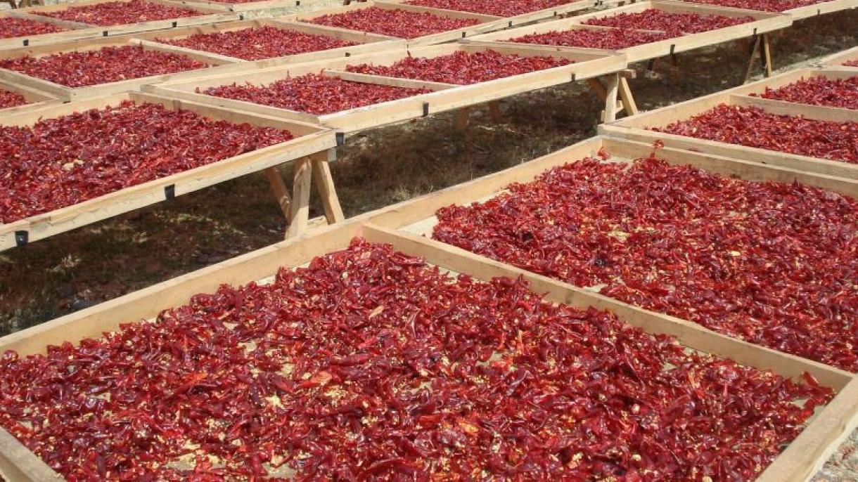 صادرات پودر فلفل قرمز ترکیه به 91 کشور جهان
