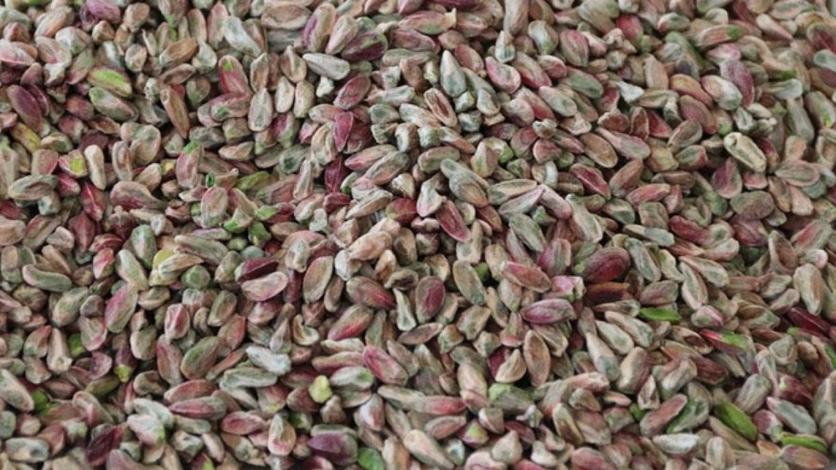 Turquía exporta pistacho a 105 países, entre ellos Cuba