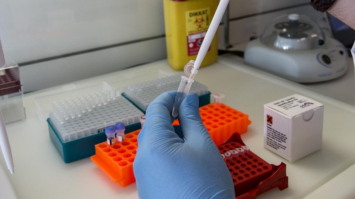 Turqia, shembull në botë për luftën kundër epidemisë së koronavirusit