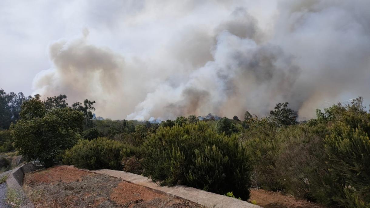 西班牙加那利群岛发生森林大火