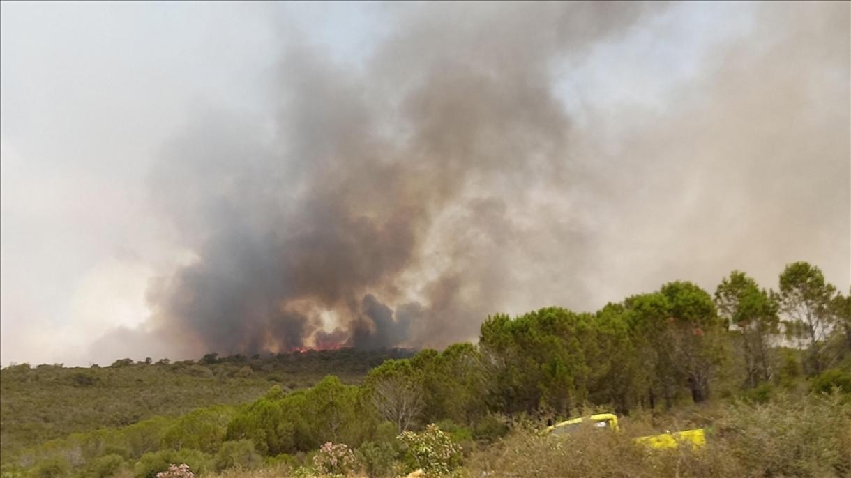 Siguen los esfuerzos para extinguir las llamas en incendios forestales en Túnez