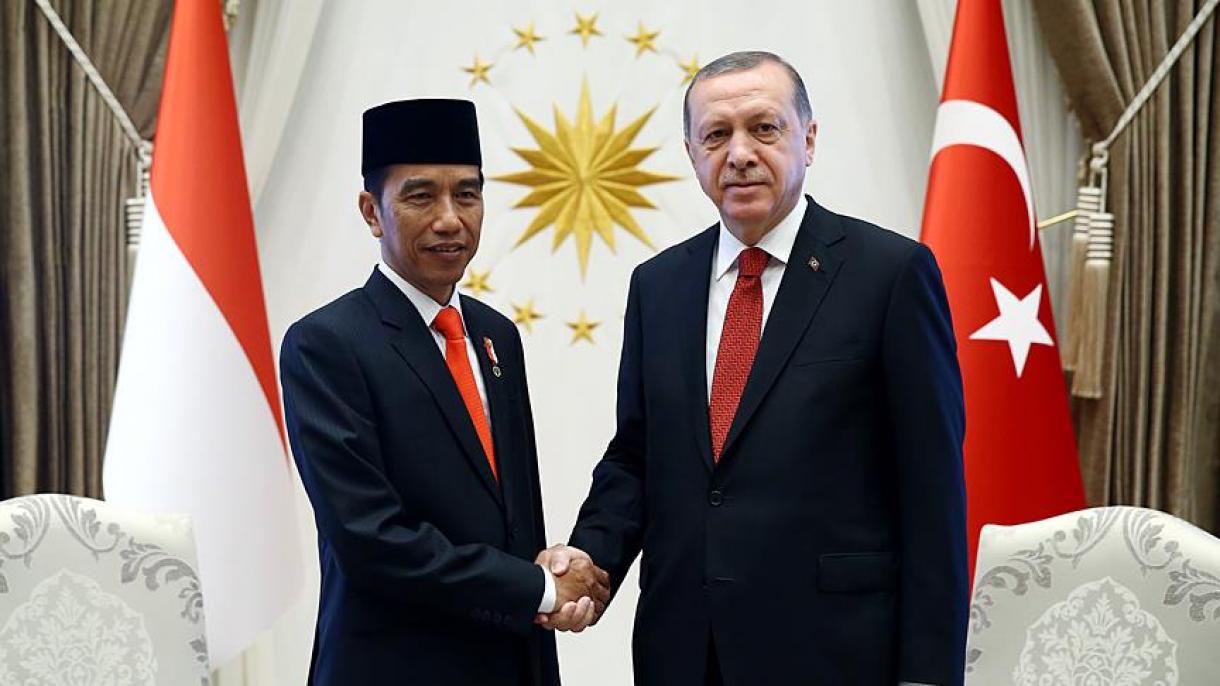 总统埃尔多安与印尼总统维多多通电话