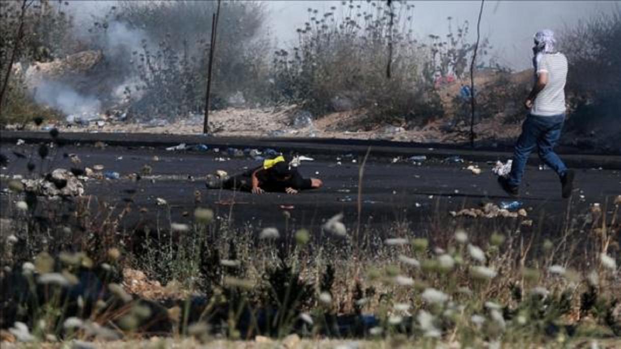 Kolonët hebrenj sulmojnë palestinezët në Bregun e okupuar Perëndimor