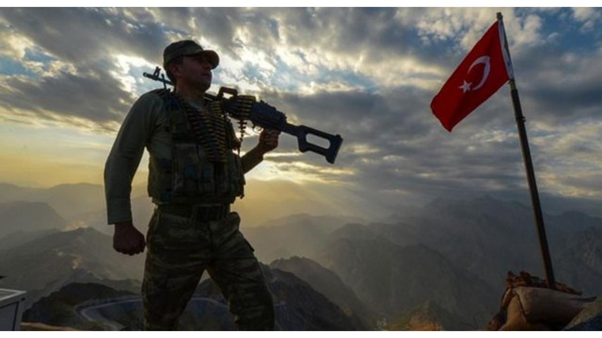 Zeytun Budağı Hərəkatının mümkün siyasi nəticələri