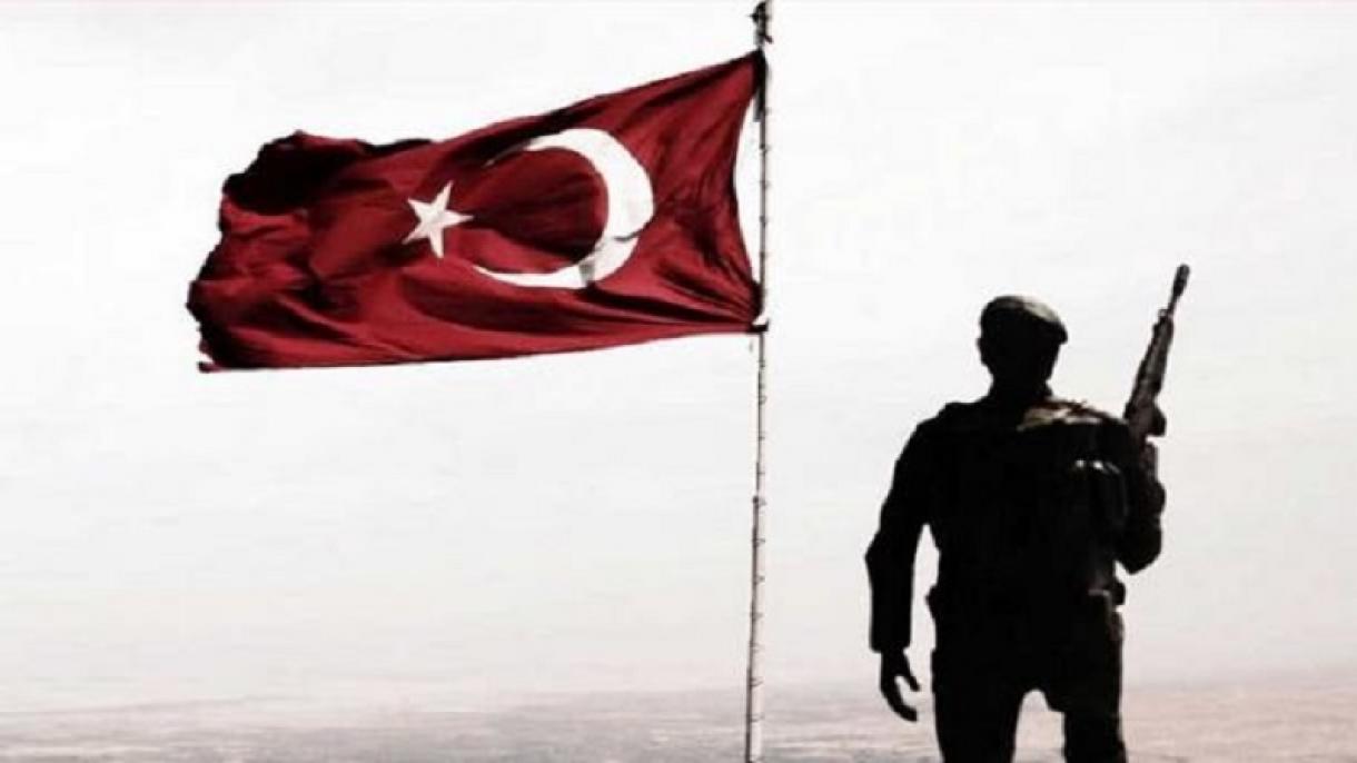 ترکیہ: شاخِ زیتون آپریشن کے علاقے میں 6 دہشت گرد غیر فعال