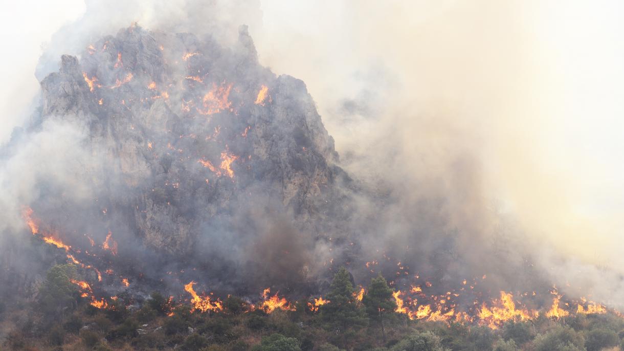 Los incendios forestales en Sicilia amenazan los lugares poblados en algunas partes
