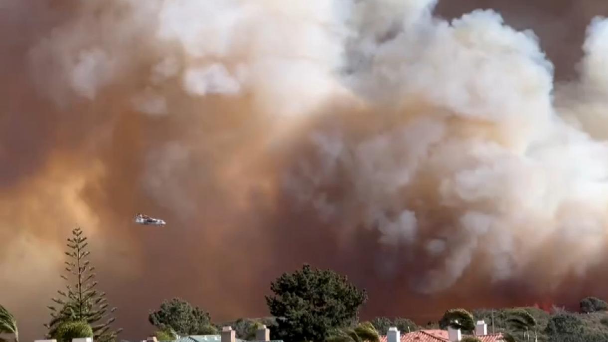 美国加州发生灌木丛火灾  至少20 栋房屋被烧毁