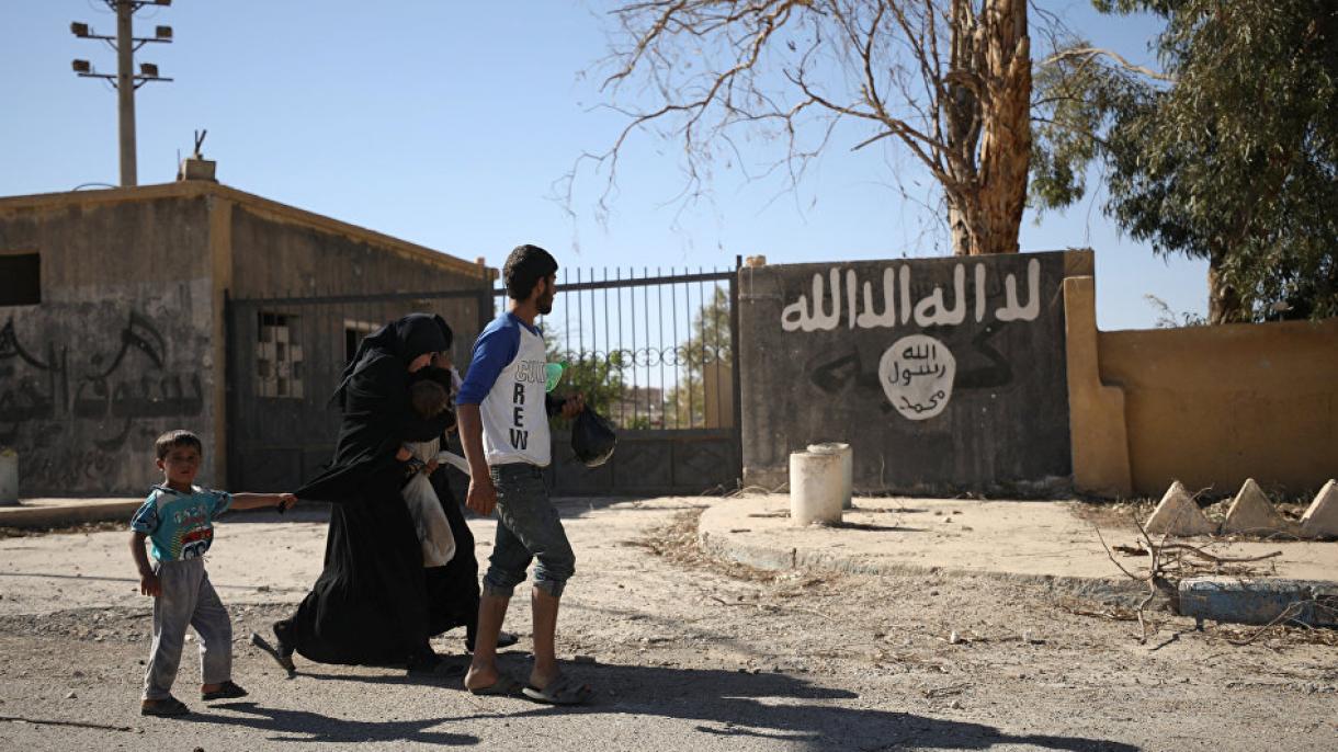 OSDH: DAESH është tërhequr nga Halepi