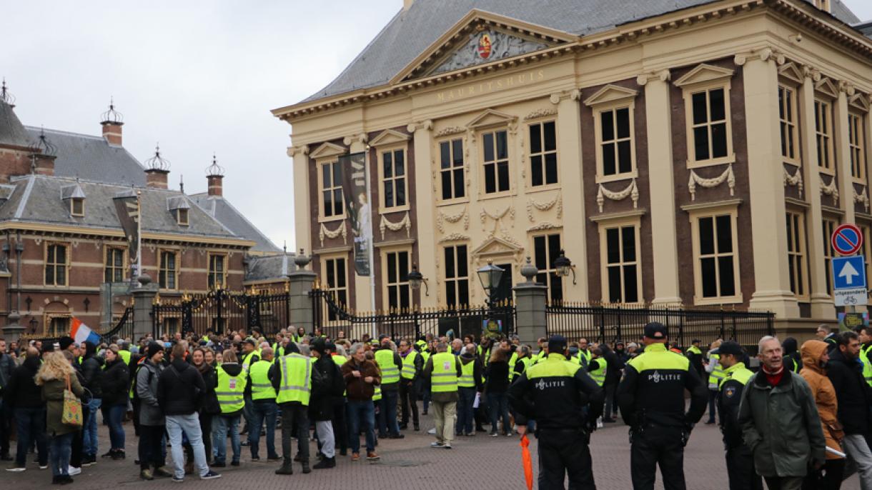 hollanda sari yelekliler2.jpg