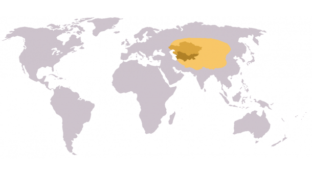 Orta Asiyanın tәhlükәsizliyi