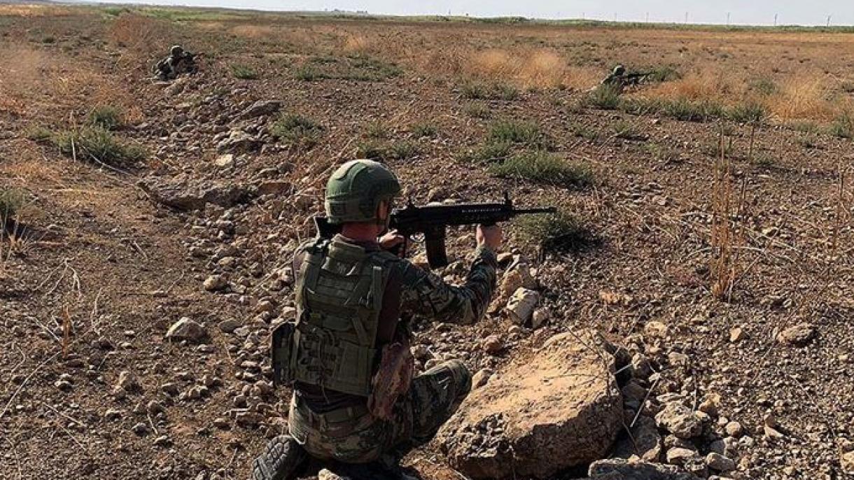 „მშვიდობის წყაროს“ რეგიონში PKK/YPG-ს კიდევ 12  წევრი იქა განეიტრალებული
