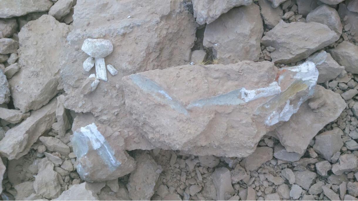 fosil-noorabad-loristan4.jpg