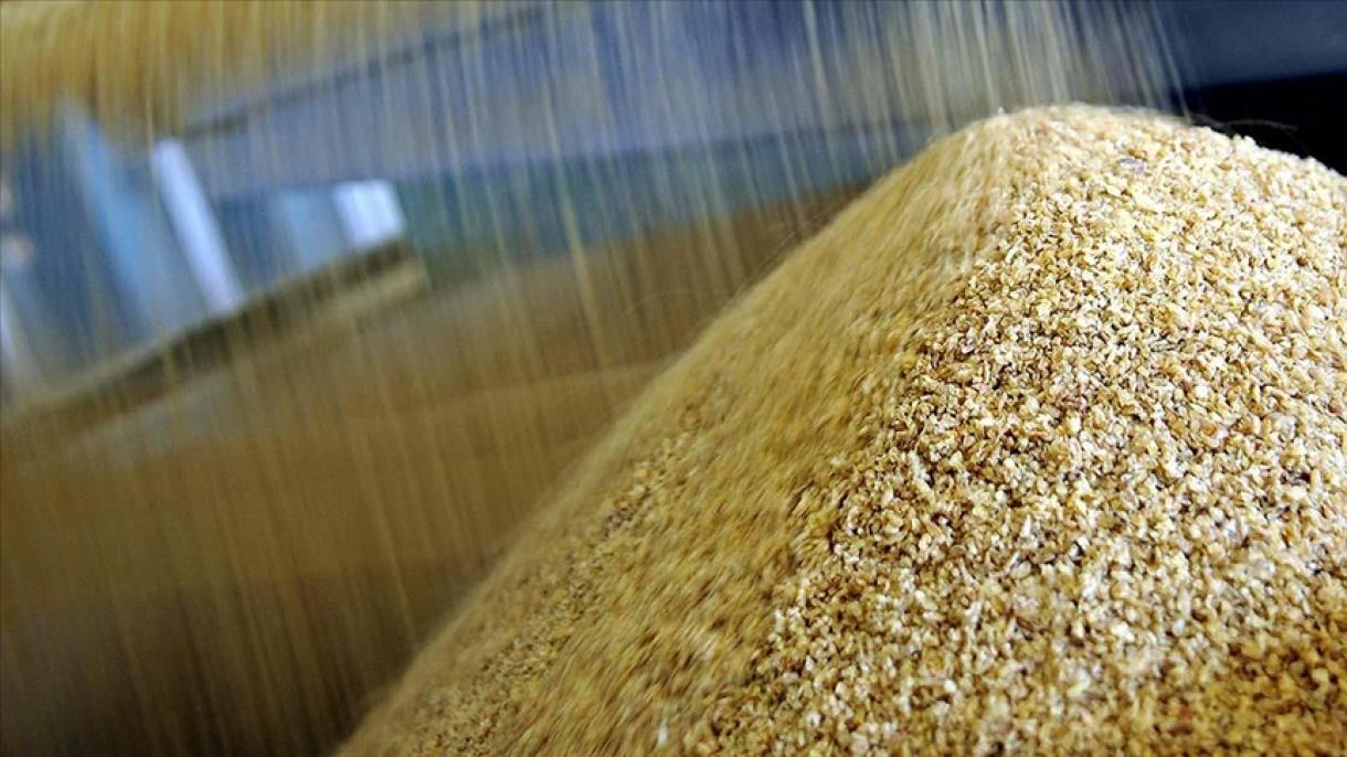 El precio del trigo baja en más de 6% tras iniciativas diplomáticas de Türkiye