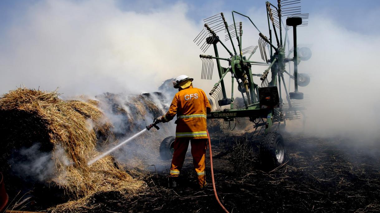 افزایش شمار قربانیان آتش‌سوزی در استرالیا
