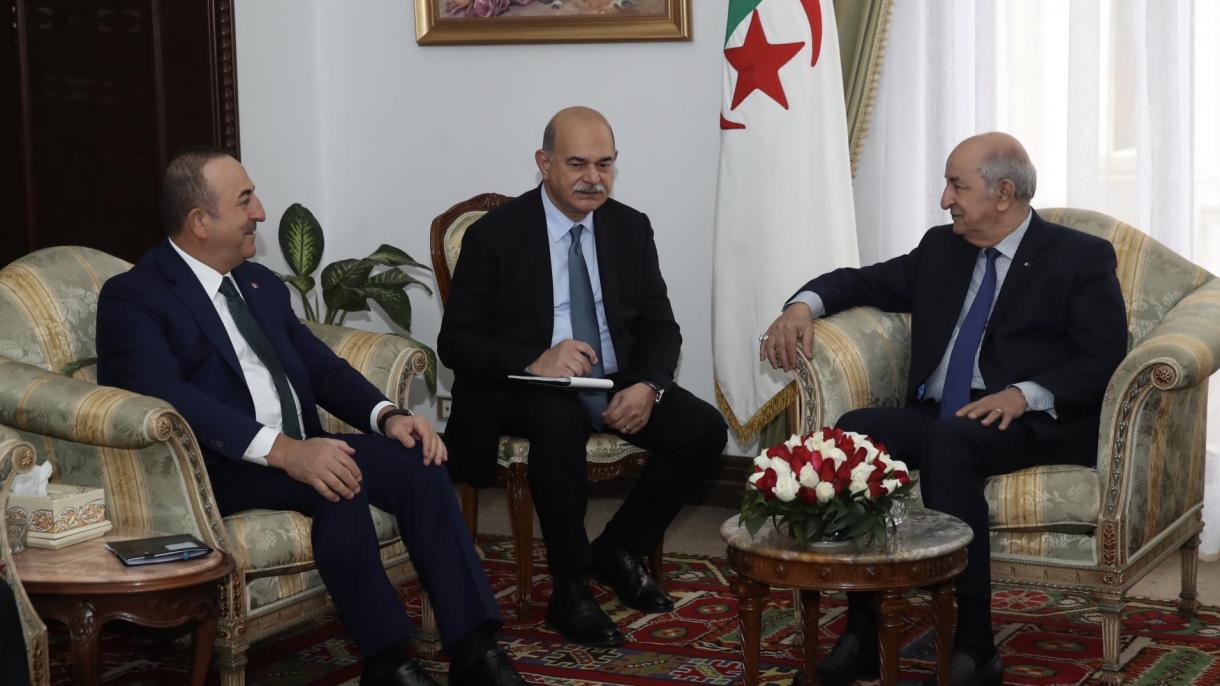 阿尔及利亚总统接见土耳其外长