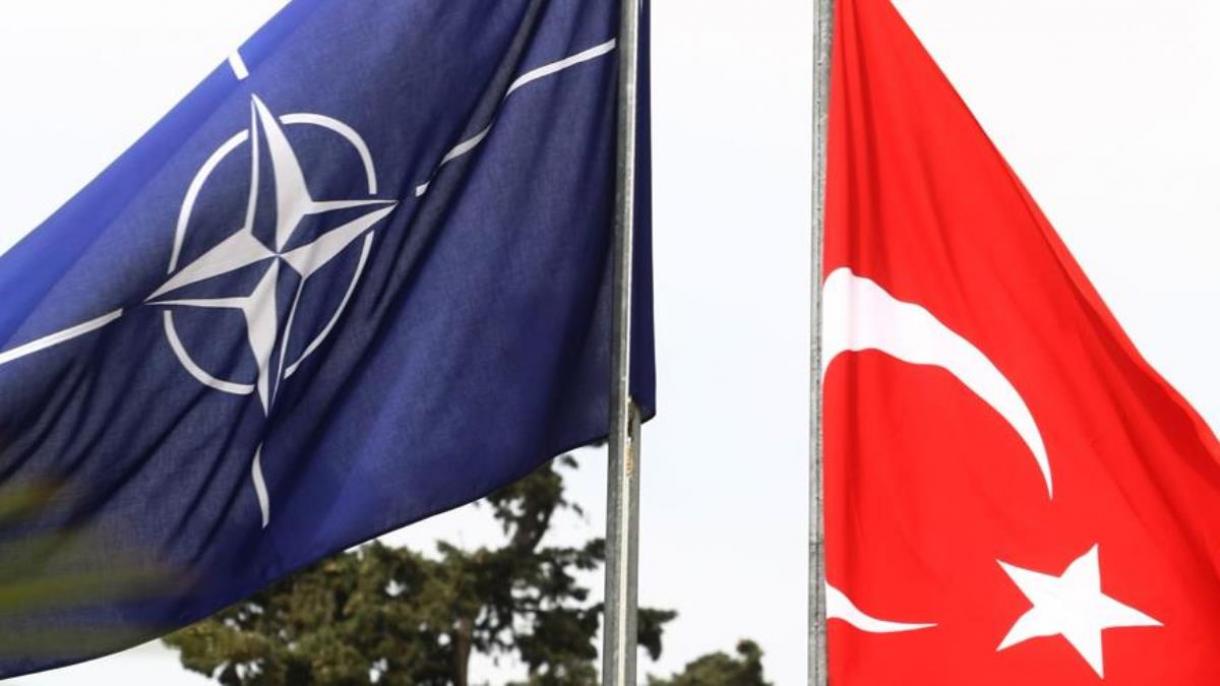 NATO və Türkiyə bayraqları.jpg