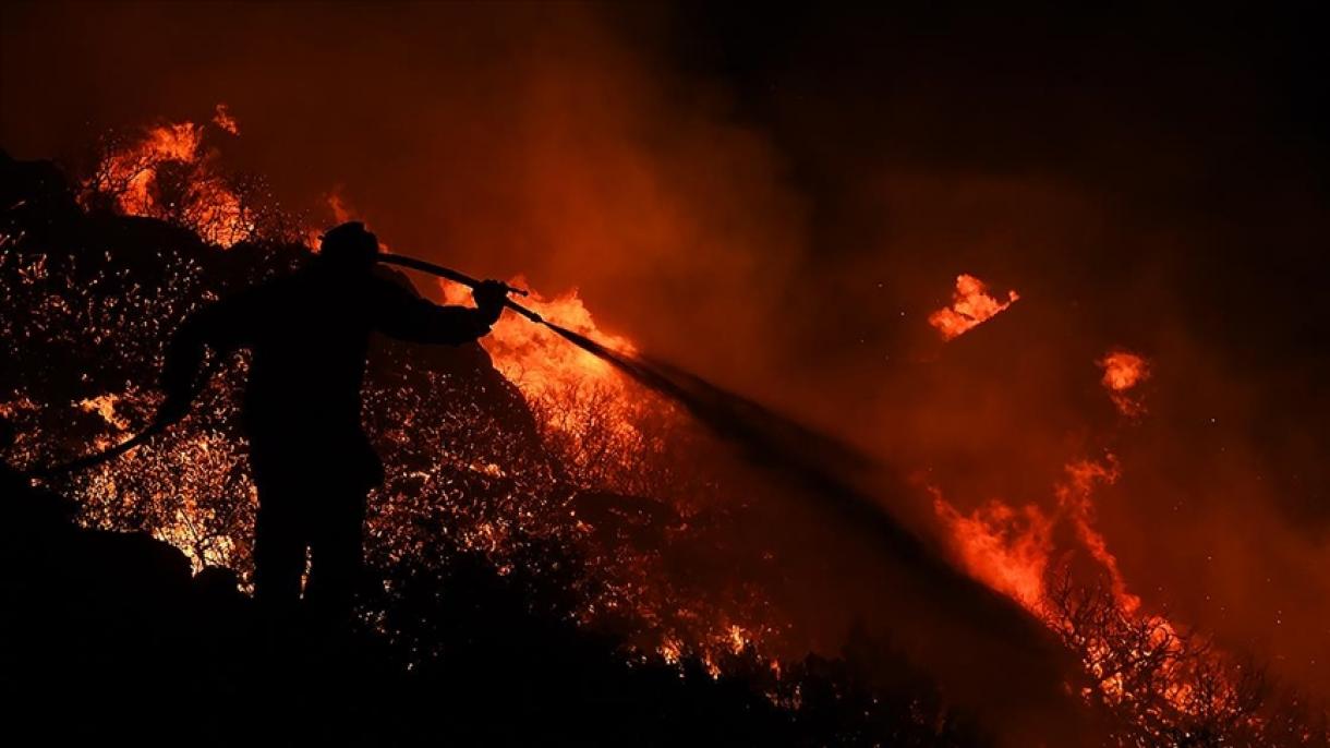 ترک سرحد کے قریب یونانی جنگلات میں آگ،18 تارکین وطن جل کر ہلاک