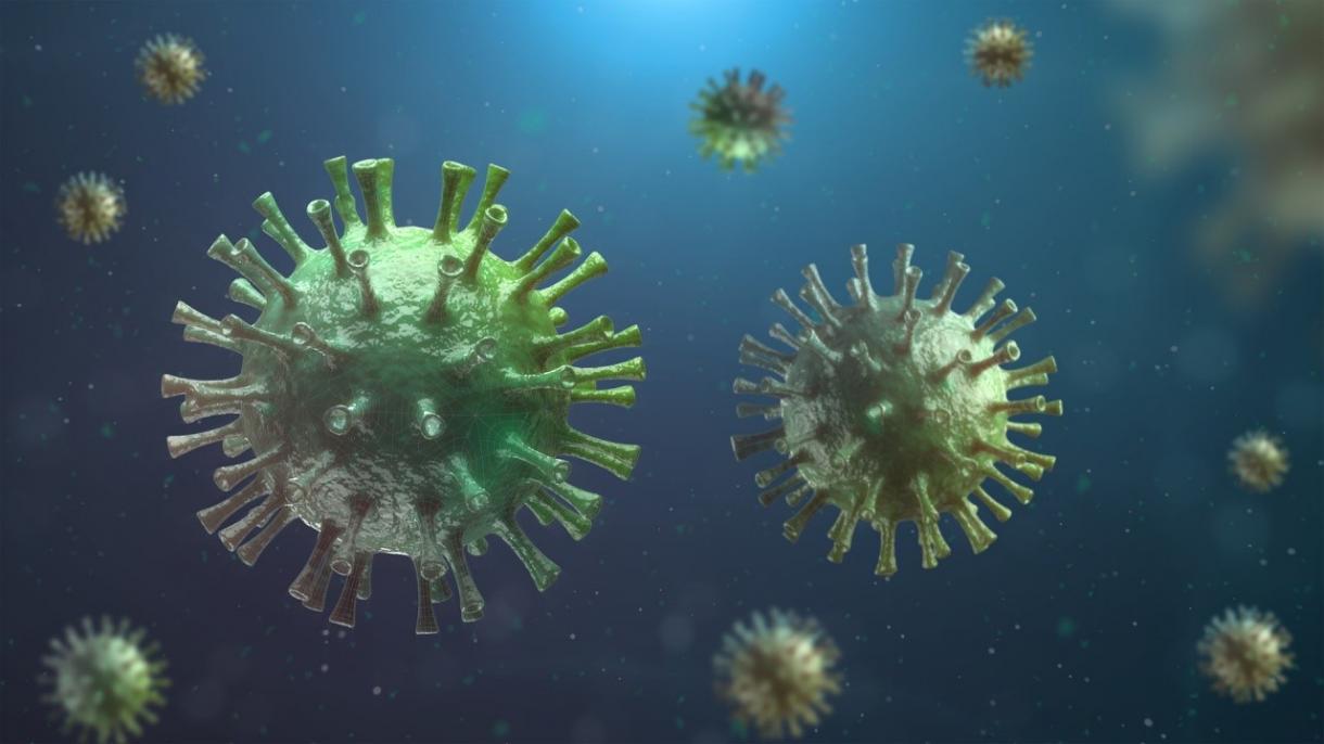 Coronavirus: 341 de decese în ultimele 24 de ore