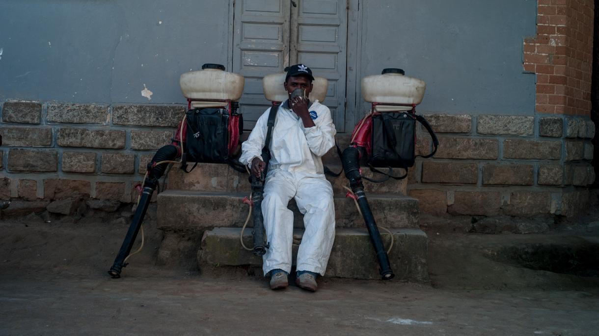 Madagaskarda vaba tarala