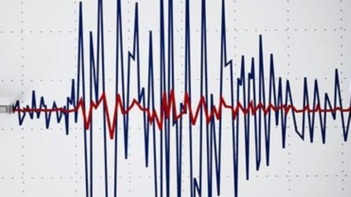 Forte scossa di terremoto al largo della Georgia del Sud