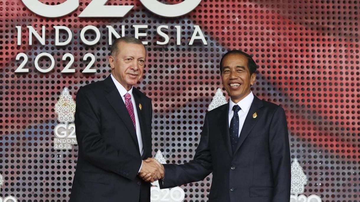 Erdogan em Bali para a Cimeira do G20
