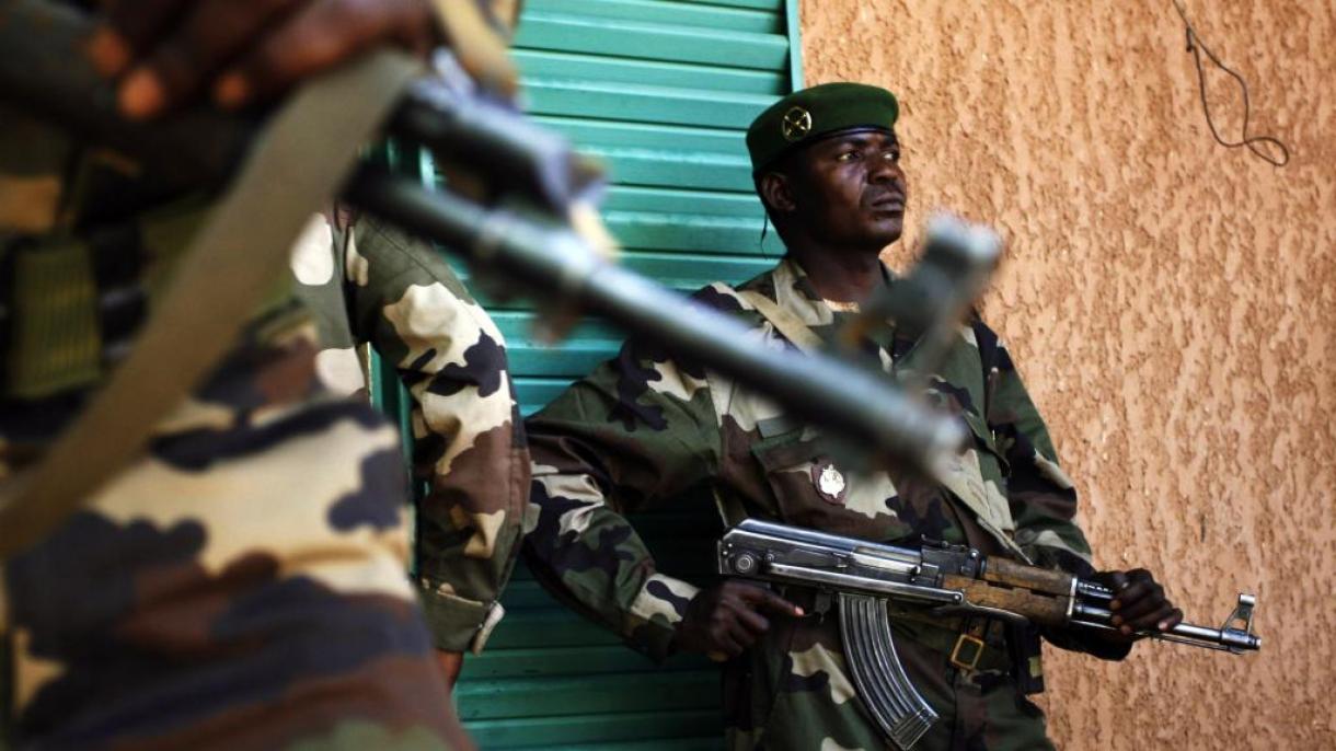 尼日尔发生恐怖袭击12名士兵死亡