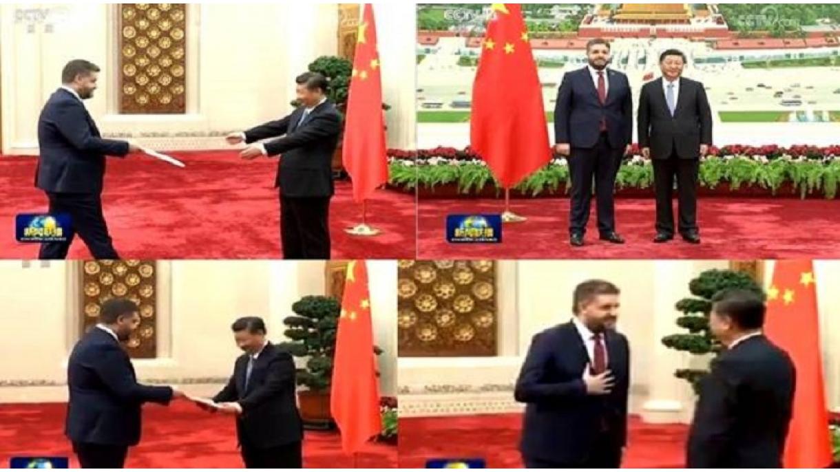 习近平接受土耳其驻华新大使递交国书